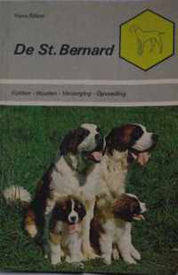 St. bernhard