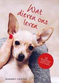 Wat dieren ons leren