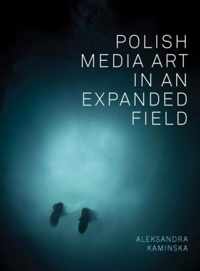 Polish Media Art in an Expanded Field