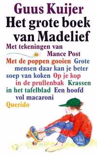 Grote Boek Van Madelief