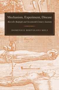 Mechanism, Experiment, Disease