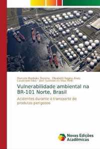 Vulnerabilidade ambiental na BR-101 Norte, Brasil