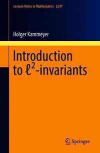 Introduction to  (2)-invariants