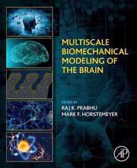 Multiscale Biomechanical Modeling of the Brain