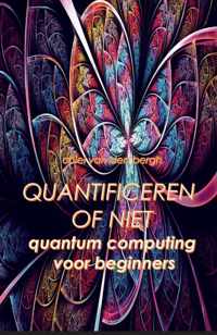 Quantificeren of niet