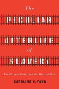 The Peculiar Afterlife of Slavery