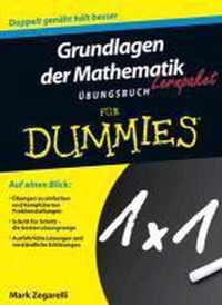 Lernpaket Grundlagen der Mathematik Fur Dummies