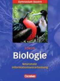 Fokus Biologie 12. Jahrgangsstufe. Neuronale Informationsverarbeitung. Oberstufe Gymnasium Bayern