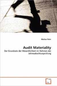 Audit Materiality