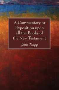 A Commentary or Exposition upon all the Books of the New Testament