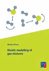 Kinetic modelling of gas mixtures