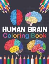 Human Brain Coloring Book