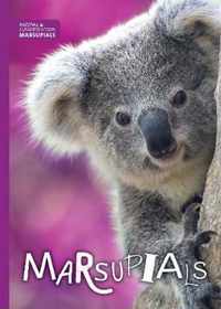 Marsupials