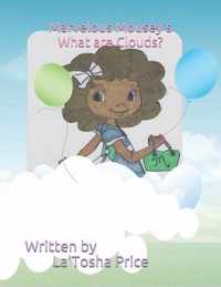 Marvelous Mousey's What are Clouds