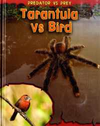 Tarantula vs Bird