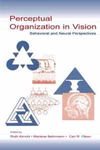 Perceptual Organization in Vision