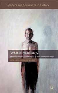 What Is Masculinity?