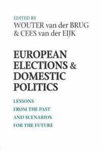 European Elections and Domestic Politics