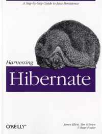 Harnessing Hibernate