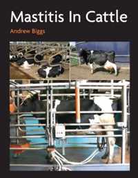 Mastitis In Cattle