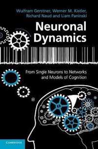 Neuronal Dynamics