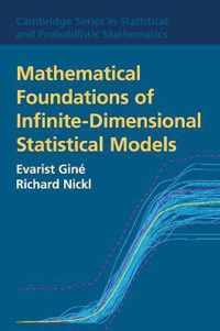 Mathematical Foundations of Infinite-Dimensional Statistical Models