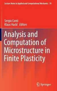 Analysis and Computation of Microstructure in Finite Plasticity