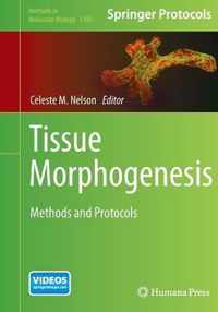 Tissue Morphogenesis