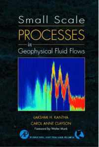 Small Scale Processes in Geophysical Fluid Flows