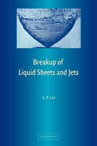 Breakup of Liquid Sheets and Jets