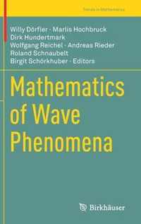 Mathematics of Wave Phenomena