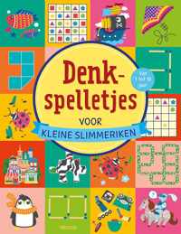 Denkspelletjes voor kleine slimmeriken (7-10 j.)