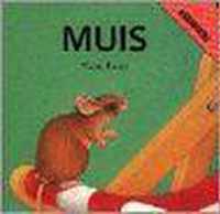 Muis