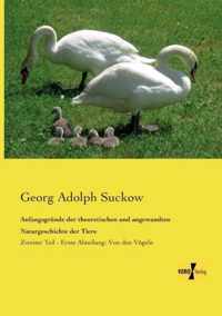 Anfangsgrnde der theoretischen und angewandten Naturgeschichte der Tiere: Zweiter Teil - Erste Abteilung: Von den Vgeln