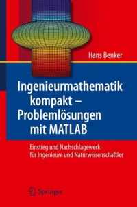 Ingenieurmathematik kompakt - Problemlösungen mit MATLAB