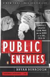 Public Enemies