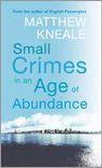 Small Crimes in an Age of Abundance