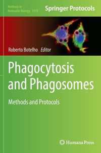 Phagocytosis and Phagosomes