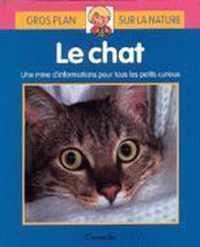 Gros plan sur la nature 4. le chat