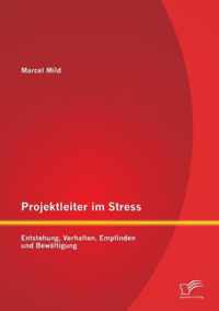 Projektleiter im Stress