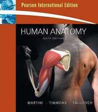 Human Anatomy