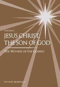 Jesus Christ, the Son of God, the Witness of the Gospels, Vol. 3