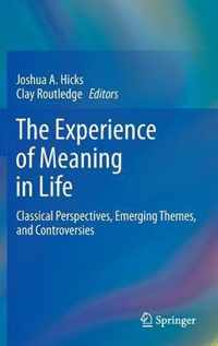 The Experience of Meaning in Life