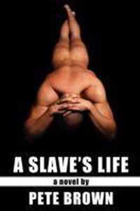 A Slave's Life