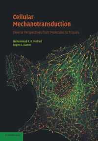 Cellular Mechanotransduction