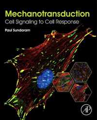 Mechanotransduction