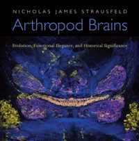 Arthropod Brains