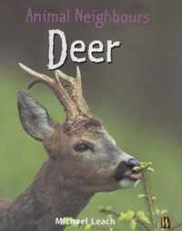 Deer