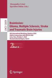 Brainlesion: Glioma, Multiple Sclerosis, Stroke and Traumatic Brain Injuries