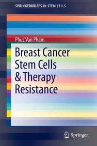 Breast Cancer Stem Cells Therapy Resistance